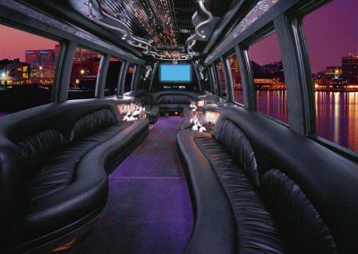 24 passenger Party Bus Interior